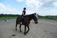 /album/fotogalerie/p1110387-jpg/