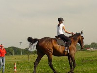 /album/fotogalerie/p1110479-jpg/