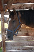 /album/fotogalerie/img-4645-jpg/