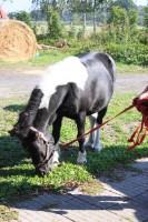 /album/fotogalerie/img-4911-jpg/